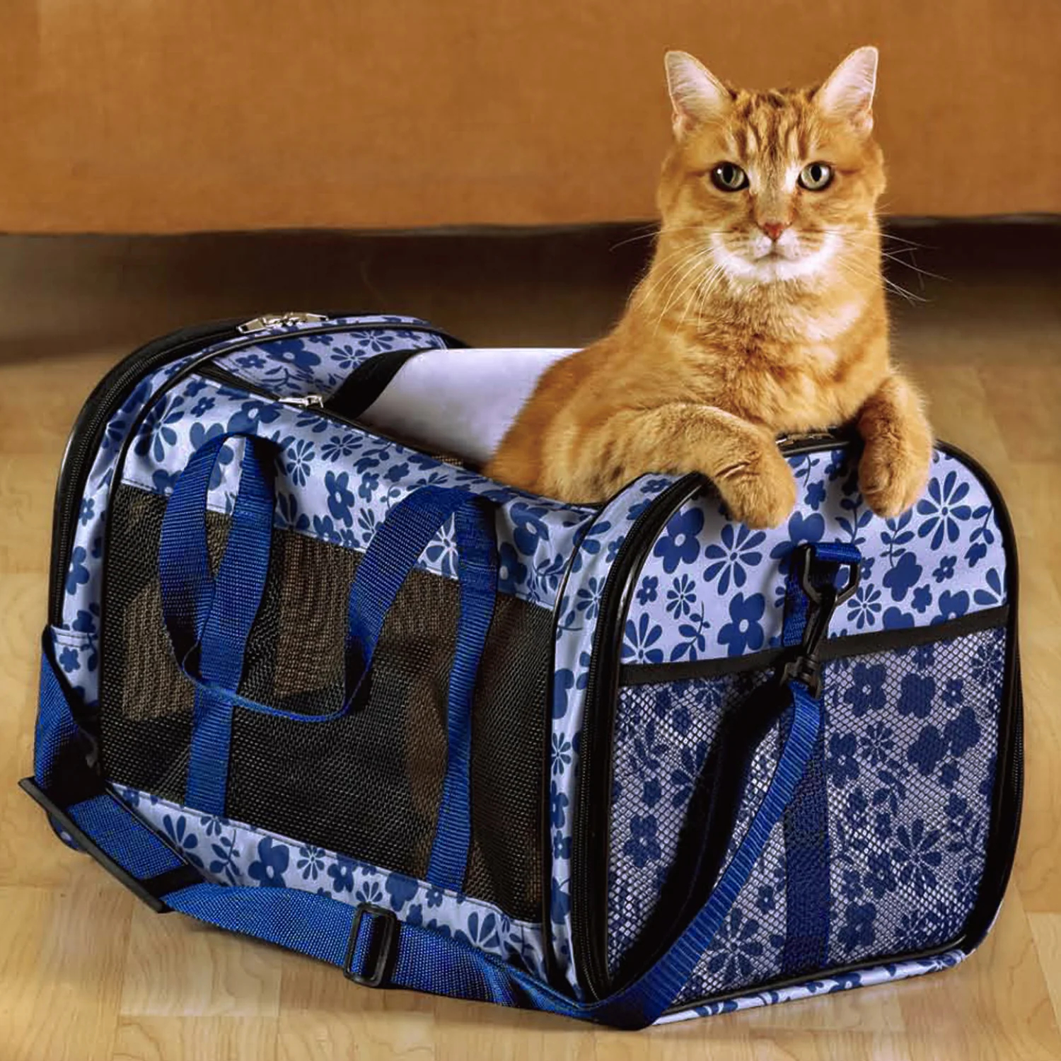 Soft-Sided Pet Carrier In USA  - Luxury Bags In Usa recensione e prezzo